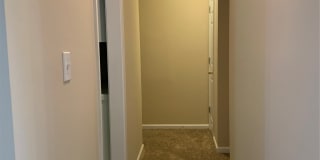 131 LIVE OAKS Drive Gallery 4