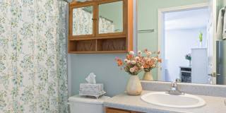 228 Dalton Place Way; Knoxville TN 37912 228 Dalton Place Way; Knoxville TN 37912 Gallery 18