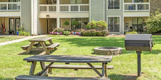 Canter Chase Gallery 32