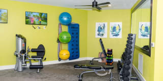 Ventura at Turtle Creek Gallery 21