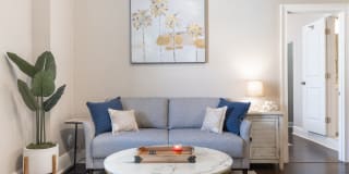 The Mirasol Gallery 11