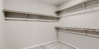 10790 Wild Parsley Avenue Gallery 24