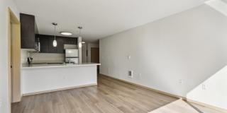 Station at Othello Gallery 71