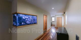 252 S Washington Avenue Gallery 11