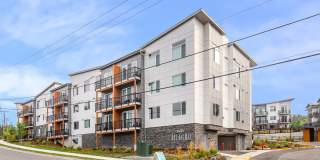 Allegro Lynwood Gallery 23