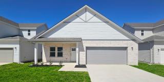 SPRINGFIELD PLAN Gallery 1