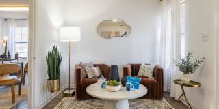 Springwood Park Gallery 15