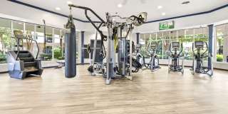 Olympus Carrington Gallery 26