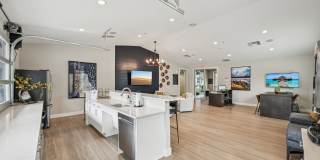 Avanterra Black Forest Gallery 50
