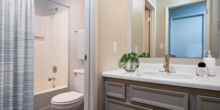 Caldera at Sunnybrook Gallery 6