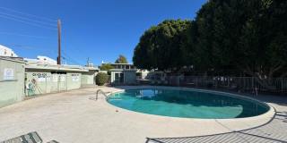 1702 W Tuckey Ln Unit 231 Gallery 22