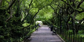 Avalon Morningside Park Gallery 40