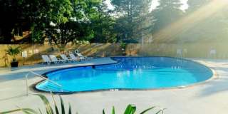 Willows on France Gallery 4