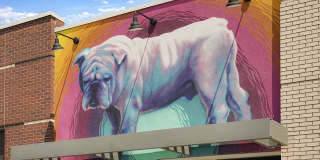 Stella on the Park Gallery 28