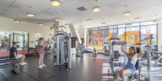 Continuum Gallery 14