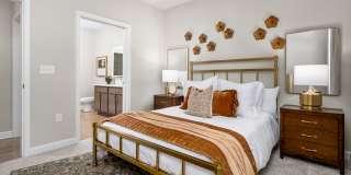 The Canopy Gallery 13