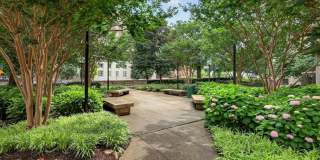 Columbia Plaza Gallery 64