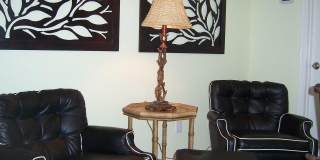 27312 N 125TH Drive Gallery 16
