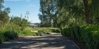 Villa Solana Gallery 2