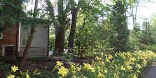 4600 CONNECTICUT Avenue NW Gallery 25