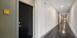 COLE COLE Gallery 45