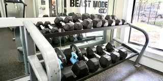 Derby at Steeplechase Gallery 25