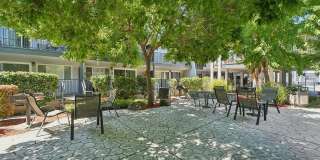 Spring Ridge on Fletcher Apartments Gallery 32