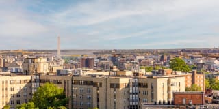 The Silva Gallery 28