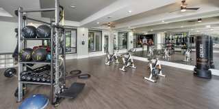 Symphony at Suwanee Creek Gallery 17