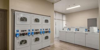 The Landmark Gallery 4