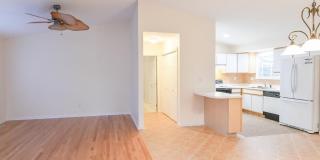 61 ABBYSHIRE Gallery 3