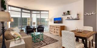 Cosmopolitan Condominiums ~ South Lake Union Gallery 6