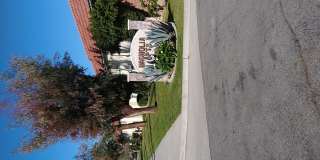 Magnolia Gallery 2