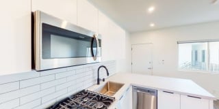 Santa Monica Palms Gallery 9