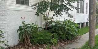 2344 AUDUBON Street Gallery 2