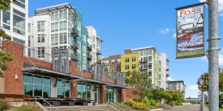 Thea's Landing Gallery 83