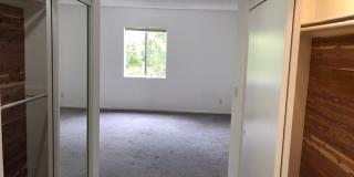 5320 Whitsett Avenue Gallery 9