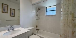 1104 Goldenrod Road Gallery 10
