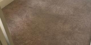 Escape Apartment Life! Downtown Cottage with yard! Gallery 7