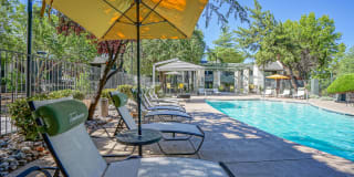 Treehouse Apartments Gallery 36