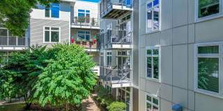 7 Cameron Gallery 5