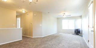 Charming 3bd/2ba Single-Level Home with Spacious Yard - FREE iPad or 55” TV if moved in by 5/15! Gallery 4