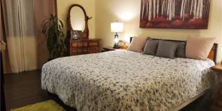 8523 Barberry Gallery 27