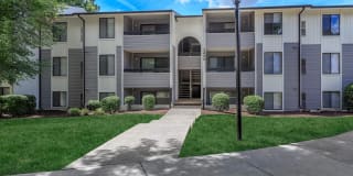 Walden Pond Gallery 17