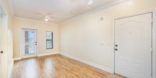 6470 Borasco Drive Gallery 3