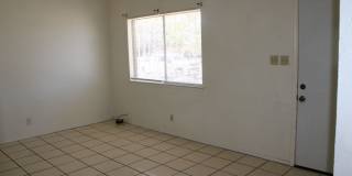 10736 OBSIDIAN Gallery 5
