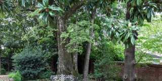 RESIDENTIAL/COMMERCIAL RENTAL - Charming historic home located downtown Opelika! (*Partially Furnished) RESIDENTIAL/COMMERCIAL RENTAL - Charming historic home located downtown Opelika! (*Partially Furnished) Gallery 44