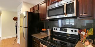 The Springs Gallery 13