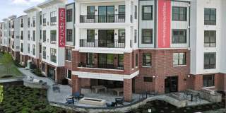 Hedges at Hawthorne Gallery 1