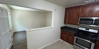 3059 Hawthorn Gallery 4